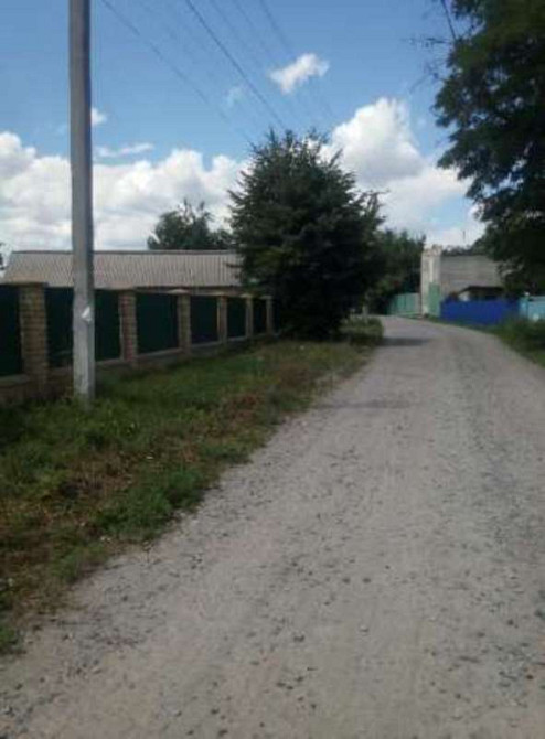 Продаж земельної ділянки 25 соток Сеньківка - фото 4