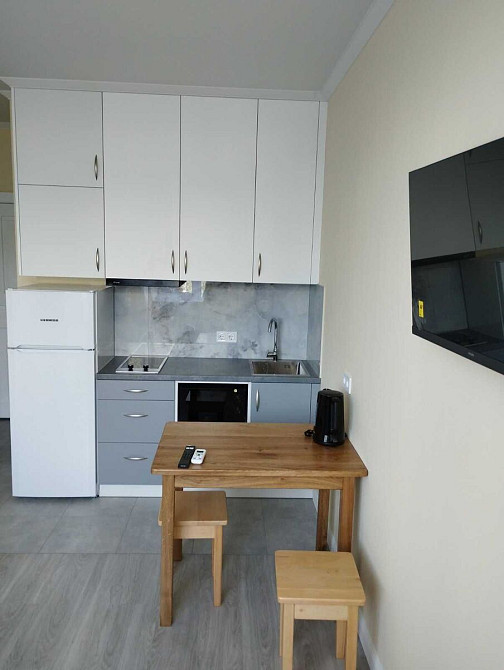 Оренда Квартира 1-кімнатна, 4/21 поверх на вул. Братів Чибінєєвих, 8А Київ - фото 7