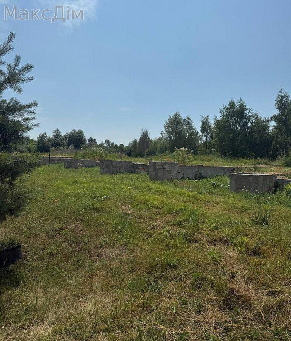 Продаж Будинок Велика Березовиця - фото 4