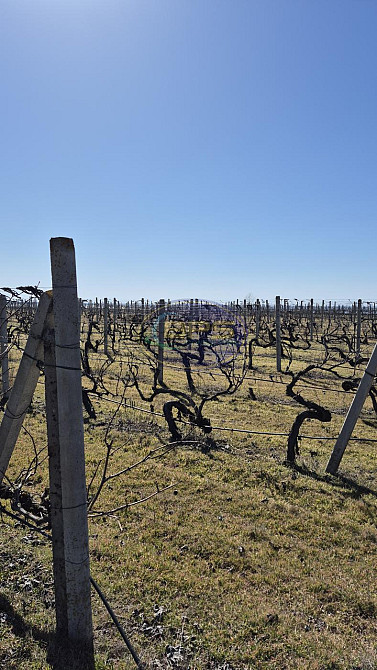 Продаж земельної ділянки 7.72 га на вул. 1 Овідіополь - фото 7