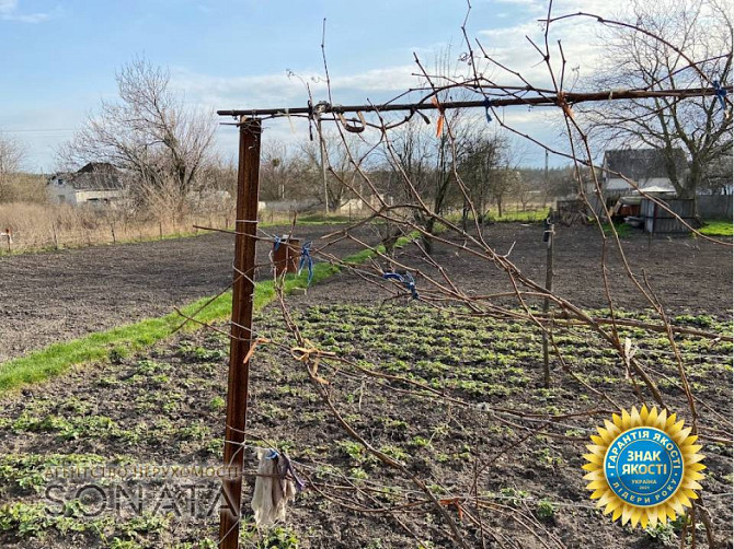Продаж 2-поверховий   50 кв.м 3 кімн. на Дачний кооператив "Хімік"  - photo 12