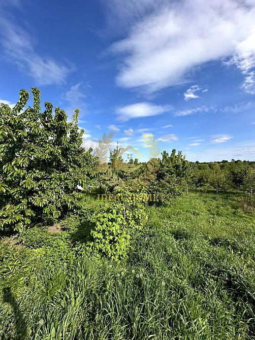 Продаж будинку с. Триліси  - фото 14