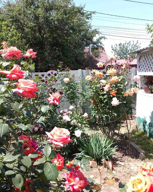 Продається будинок в Іличанці на 5 сотках землі.  - фото 8