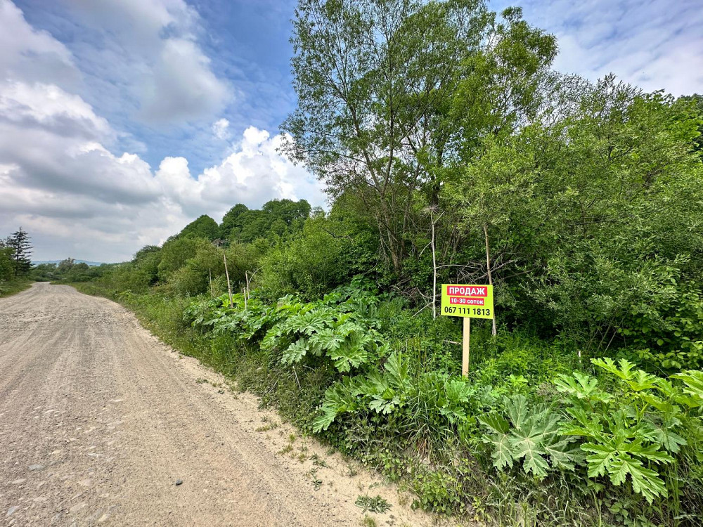 Продаж земельної ділянки 10 соток на вул. Стрийська Верхне Синьовидне - изображение 1