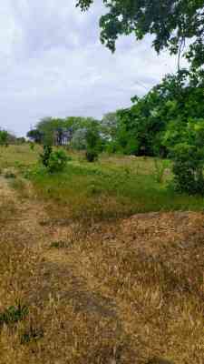 Продаж земельної ділянки 0.2 соток на ул. Коцюбинского, 6 Молодижне