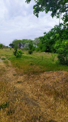 Продаж земельної ділянки 17 соток на ул. Коцюбинского, 6 Молодіжне - фото 3