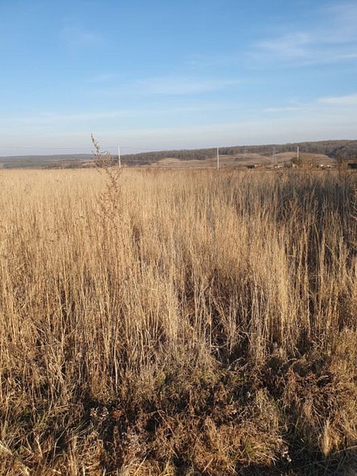 Продаж земельної ділянки 20 соток на Молодіжна Колодіївка - фото 3