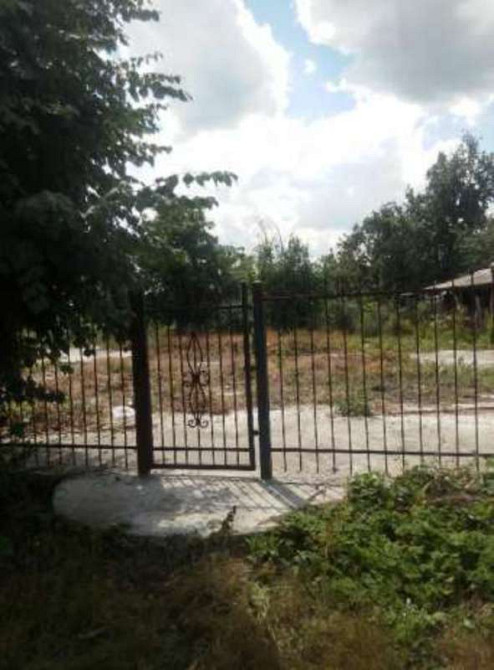 Продаж земельної ділянки 25 соток Сеньківка - фото 1