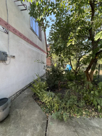 Продам дачу в с.Дачное на берегу Хаджибеевского лимана Дачне