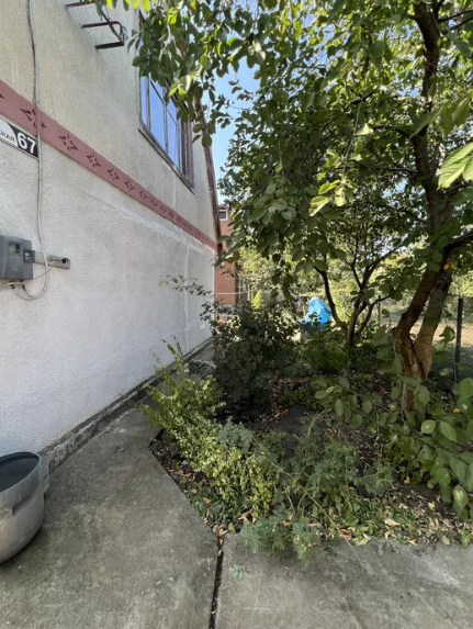 Продам дачу в с.Дачное на берегу Хаджибеевского лимана Дачне - фото 5