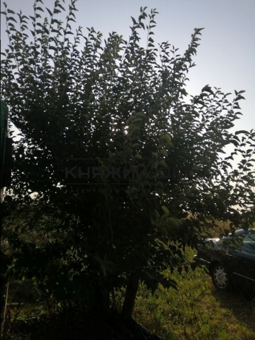 Продаж 2-поверховий Будинок з ділянкою 10 сот 166 кв.м    - фото 14