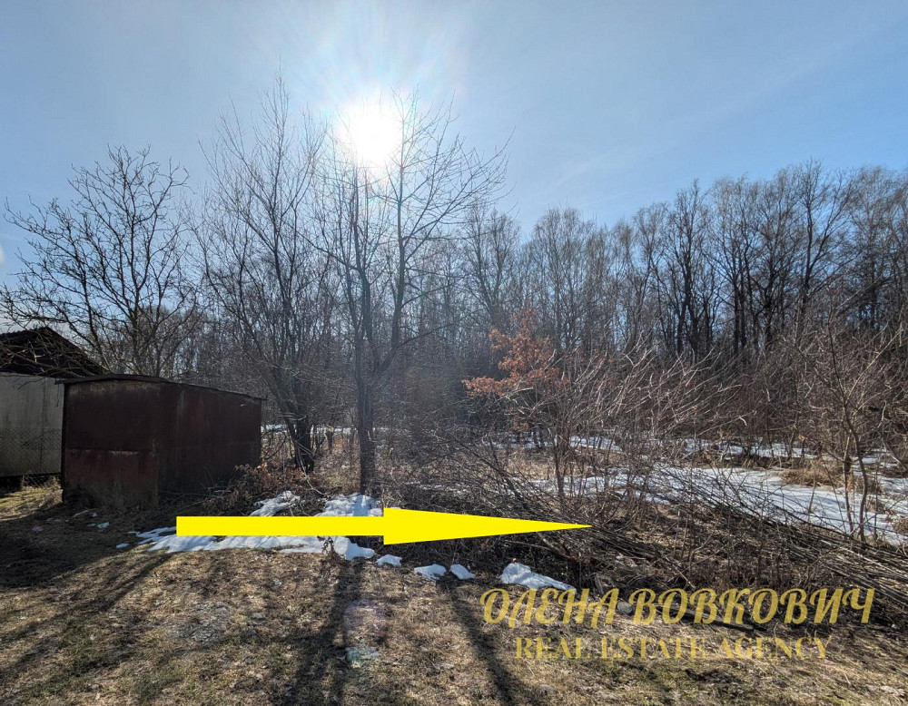 Продаж земельної ділянки 5.51 соток Pavlivka - photo 7