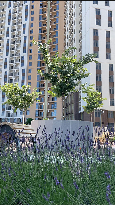 Продаж Квартира 1-кімнатна, 6/25 поверх на Краснова улица, 3/67 Одеса - фото 1