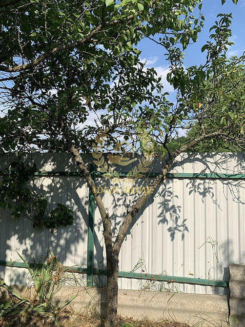 Продам будинок в селі Кодра Kodra - photo 9