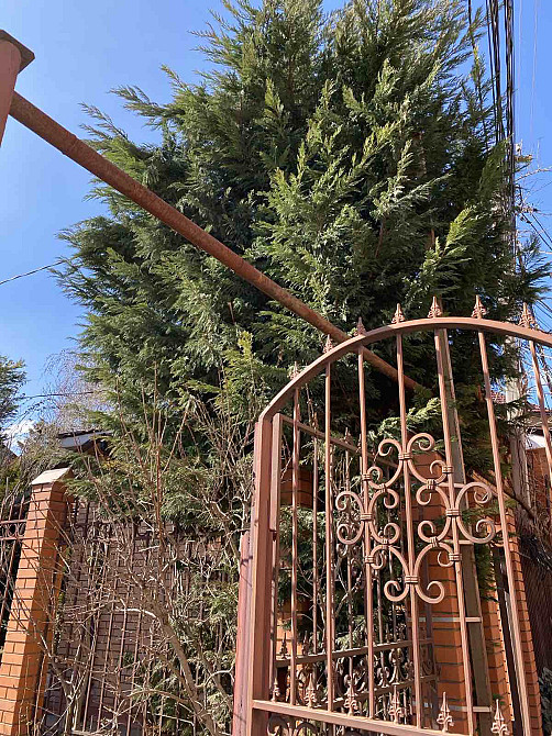 Дом в Элитном Кооперативе на 10 Станции Большого Фонтана Одеса - фото 14