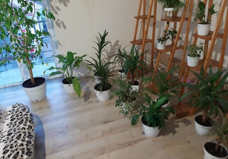 Предлагаем к продаже дом в 15 минутах от Одессы, рядом Усатово, Слободка. Nerubaiske - photo 8