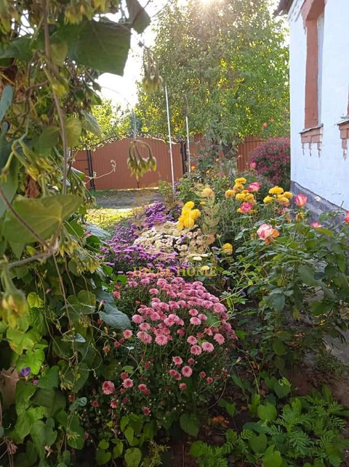 Продам будинок у Житних Горах  - фото 17