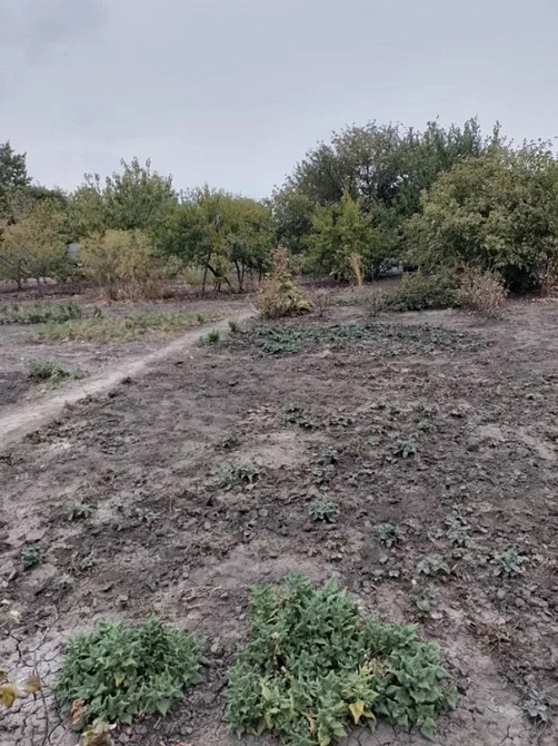 Продаж земельної ділянки 12 соток на АН Купи Дім Кропивницький - фото 1