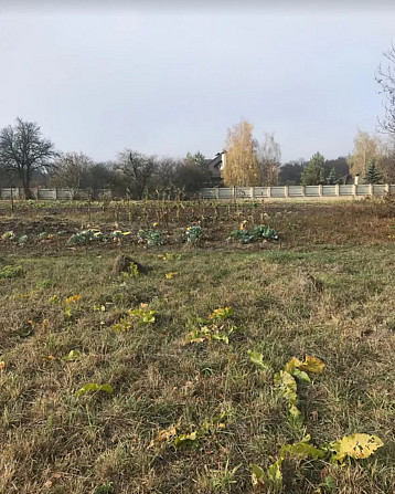 Продаж земельної ділянки під житлову забудову на вул. Марусі Чурай, площа 10 соток  - фото 1