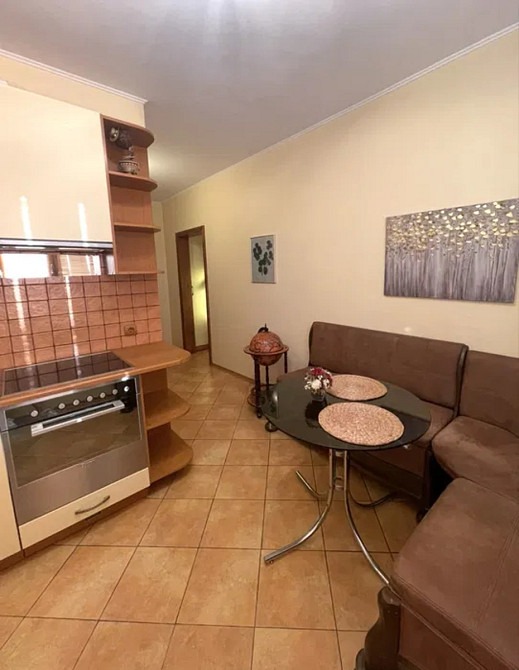 Оренда Квартира 2-кімнатна, 13/16 поверх на просп. Петра Григоренка, 27 Київ - фото 5