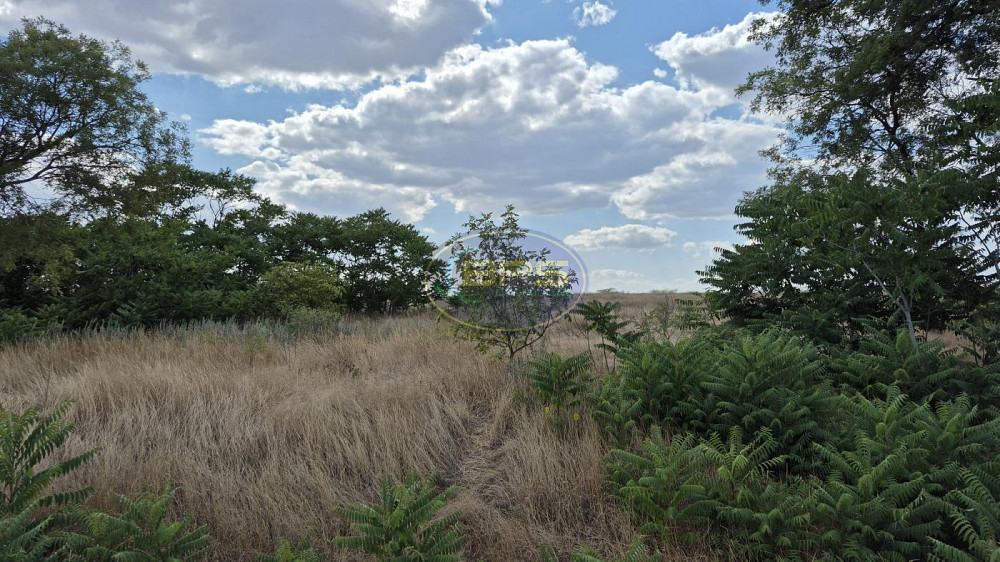 Продаж земельної ділянки 3.64 га Прилиманське - фото 5