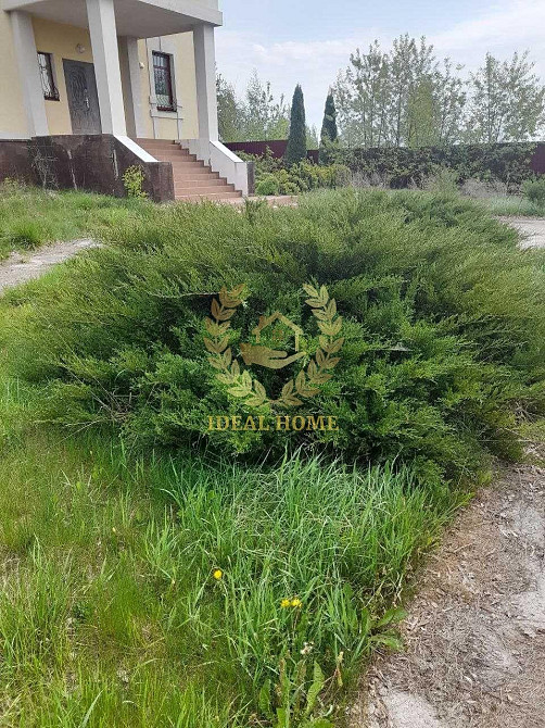 Продаж Будинок 7-кімнатний Заваловка - изображение 6