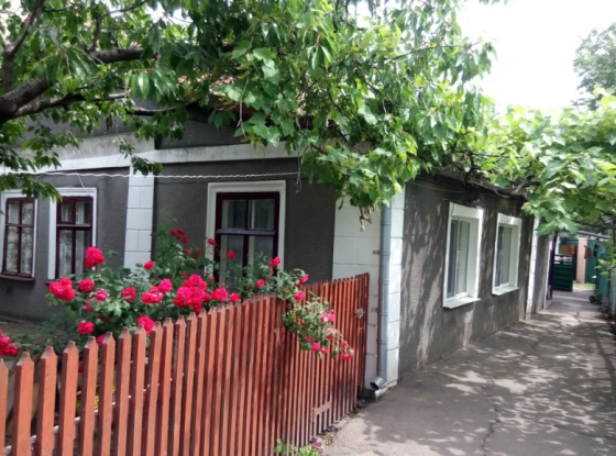 Продам дом в Крыжановке Kryzhanivka (Kominternivskyi raion)