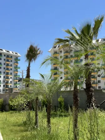 Selling Apartment Avsallar 1+1 Alanya - photo 3