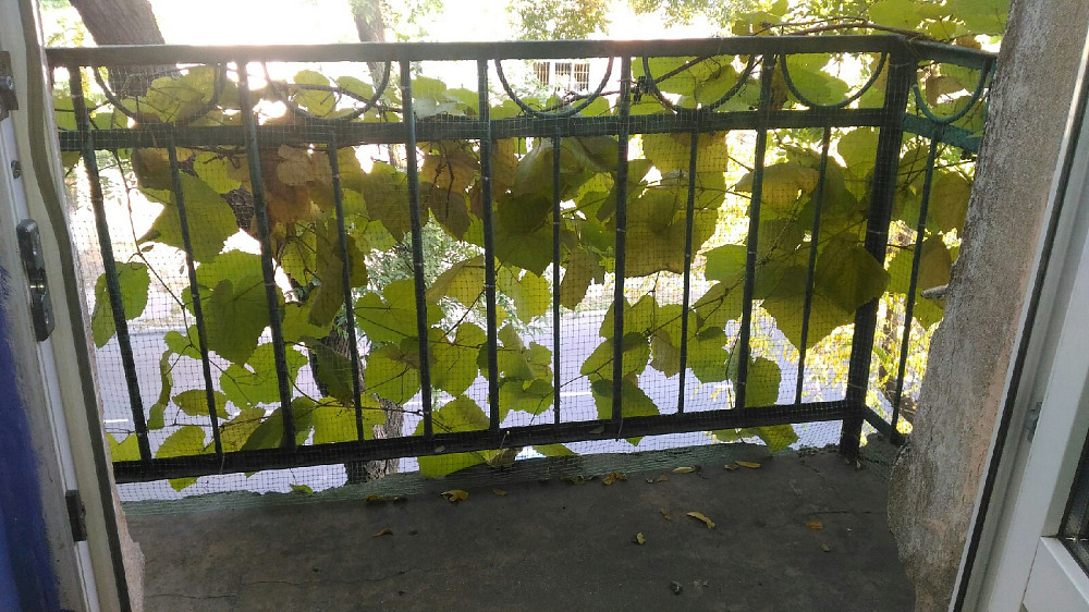 3-комн. с АГВ, Степовая / Молдаванка, рядом сквер Одесса - изображение 4