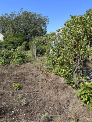 Продаж земельної ділянки 0.5 соток на ул. Центральна, 213/2 Бурлача Балка