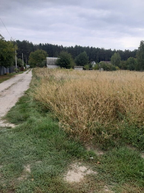 Продаж земельної ділянки 6 соток на садовое товарищество - Радуга Переяслав-Хмельницкий - изображение 9