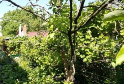 Продаж земельної ділянки 0 соток на ул. Костанди, 6г Odessa - photo 1