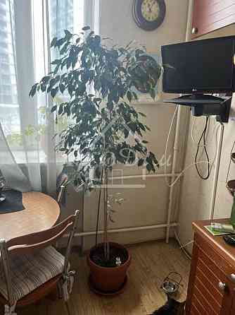 Продаж Квартира 3-кімнатна, 5/5 поверх на Іоанна Павла ІІ вул. (Патріса Лумумби), 15 Kiev