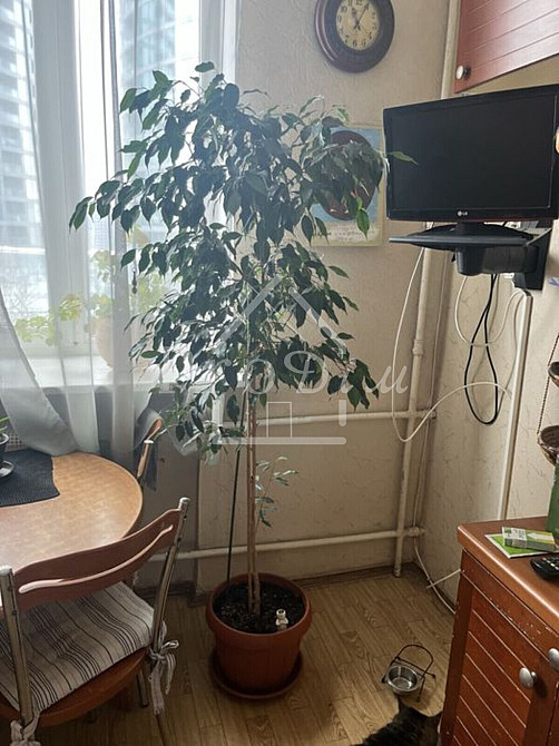 Продаж Квартира 3-кімнатна, 5/5 поверх на Іоанна Павла ІІ вул. (Патріса Лумумби), 15 Kiev - photo 5