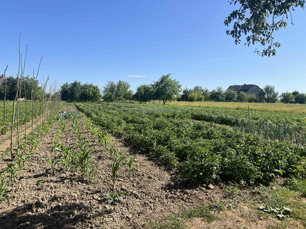 Продаж Квартира на улица Шевченка 61 Туради - изображение 9