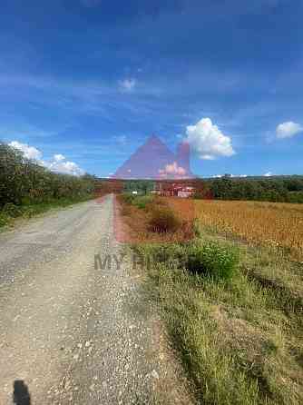 Продаж земельної ділянки 60 соток 