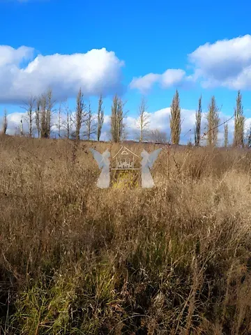 Продажа земельного участка  площадь 11 сот Січових Стрільців вулиця 1  - изображение 7