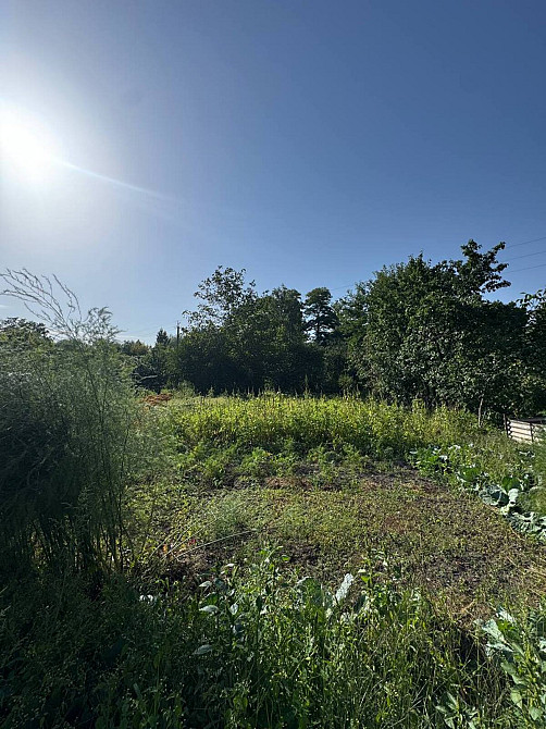 Продаж земельної ділянки 10 соток на Шевченка Тисмениця - фото 7