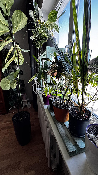 Продаж Квартира 1-кімнатна, 13/21 поверх на вул. Данькевича Костянтина Київ - фото 6