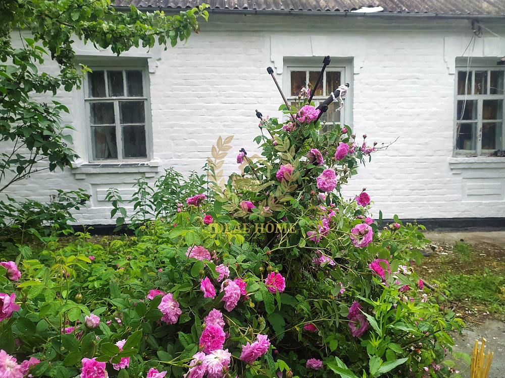 Продам затишний будинок у Лісовичах  - фото 10