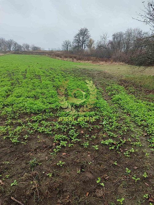 Продам будинок в Бушевому  - фото 18