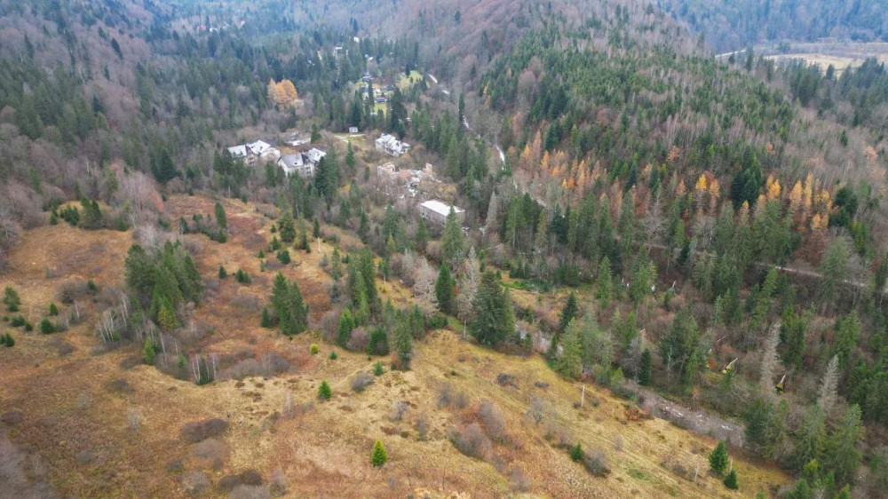 Продаж земельної ділянки 22.6 соток Гребенів - фото 2