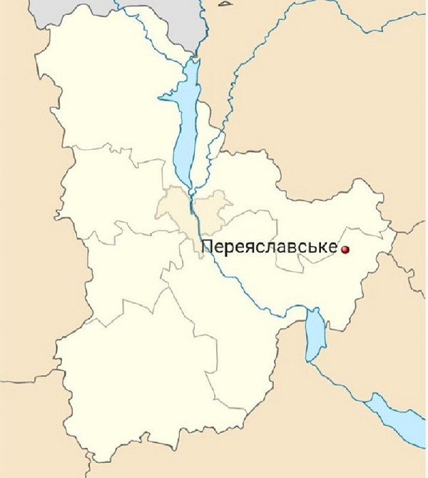 Продаж земельної ділянки 25 соток на улица Райдужна, д. Переяславське - фото 8