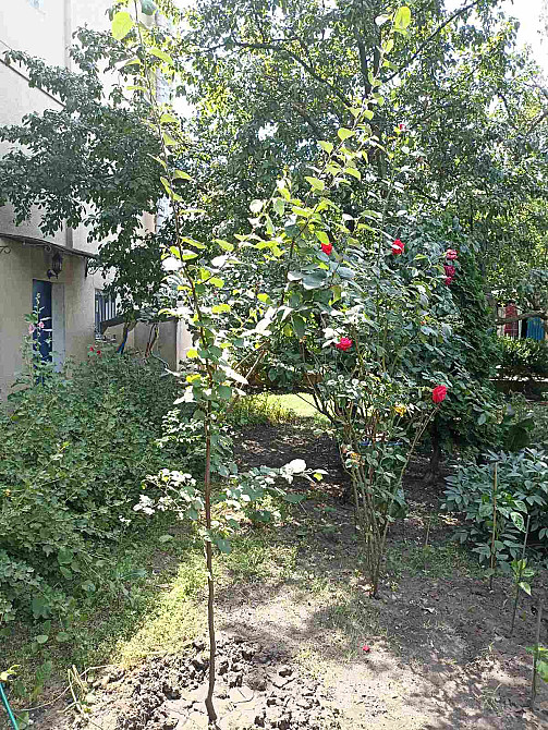 Продам дом в Фонтанке. Фонтанка - фото 8