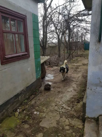 Продам дом в с.Широке (г.Раздельная, 60 км от Одессы) Широке (Билгород-днистровський район)