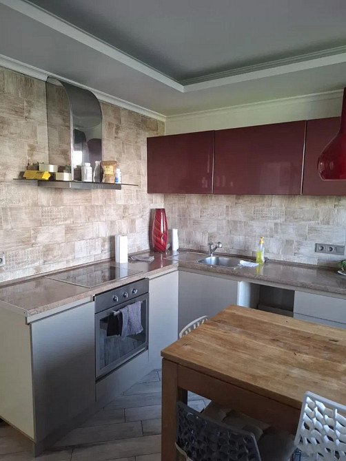 Оренда Квартира 3-кімнатна, 4/17 поверх на вул. Дениса Рачинського, 25 Kiev - photo 14