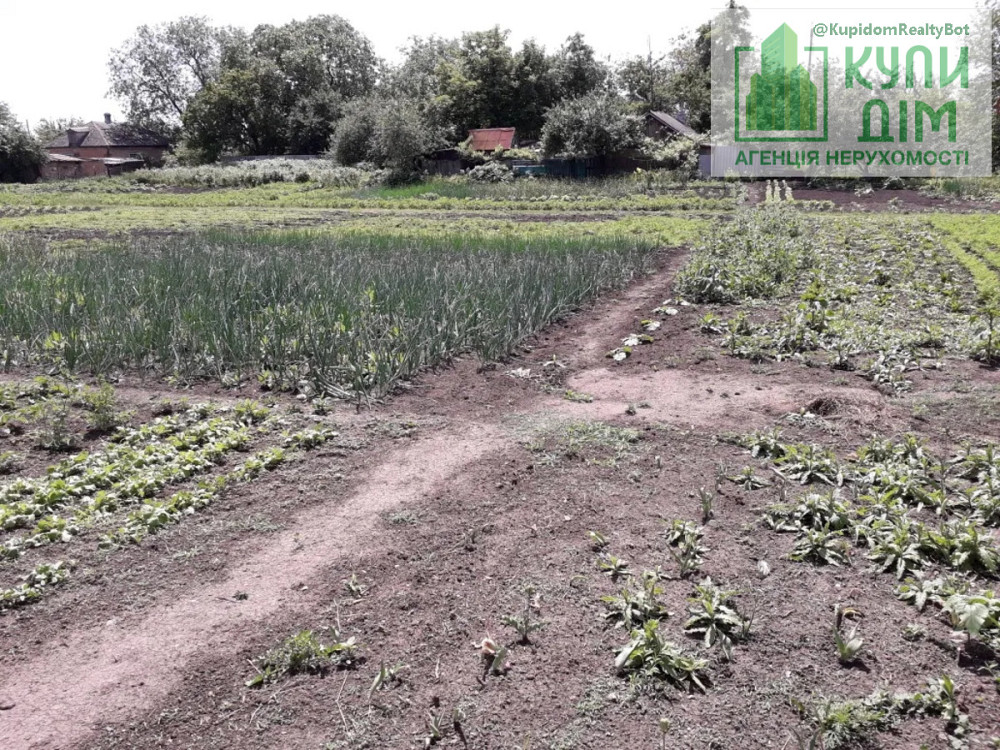 Будинок (дом) 20 км від Кропивницького. Кропивницький - фото 8