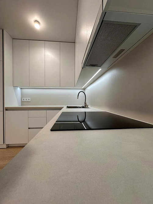 Продаж Квартира 1-кімнатна, 24/26 поверх на Олександра Олеся вул., д. 8/17 Kiev - photo 4