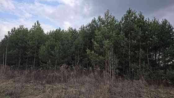 Продаж земельної ділянки 10 соток на Малишка Житомир