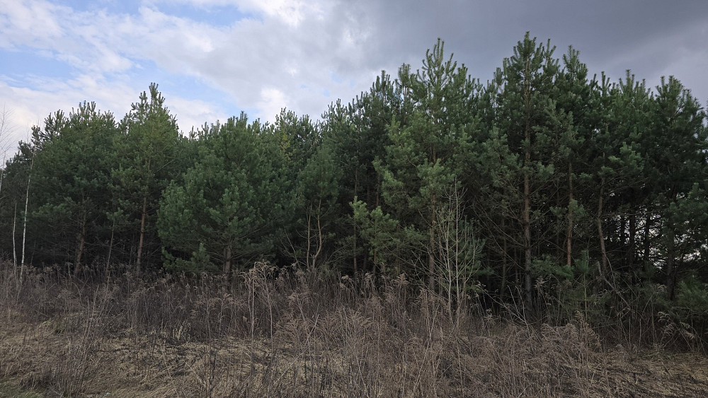 Продаж земельної ділянки 10 соток на Малишка Zhytomyr - photo 5